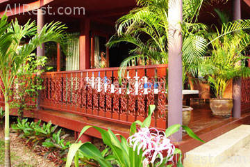 Coconut Paradise 34